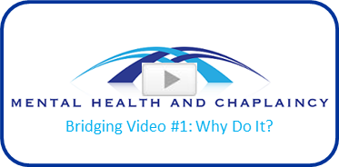 Bridging Video 1 Why Do It?