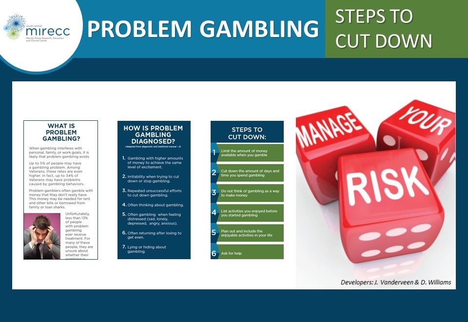 Collage of screenshots from the problem gambling brochure