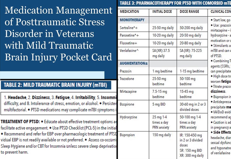 Collage of screenshots from the Management of PTSD in Veterans with Mild Traumatic Brain Injury pocket card