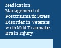 Typographic with the words Medication Management of PTSD in Veterans with mTBI