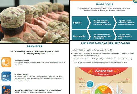 Collage of screenshots from the veterans wellness guide