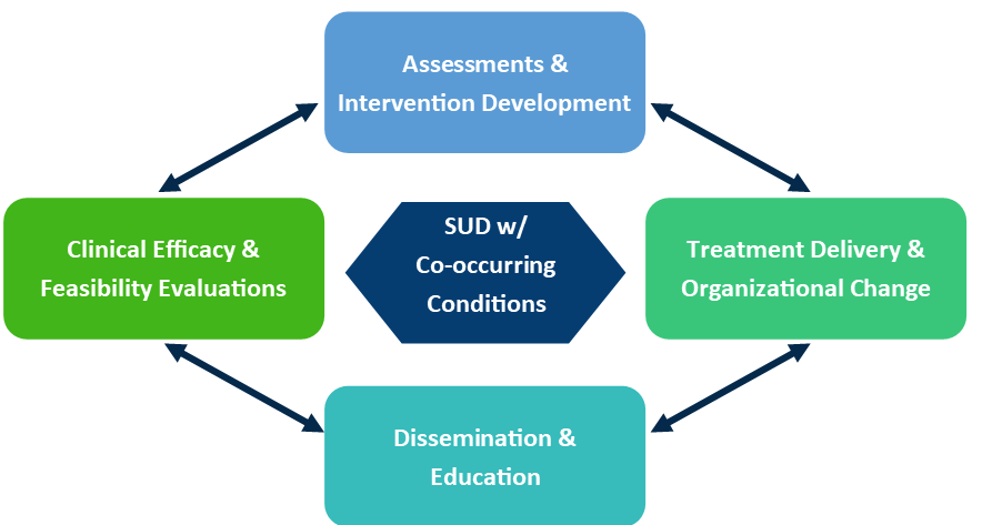 image of VISN 1 MIRECC research targets