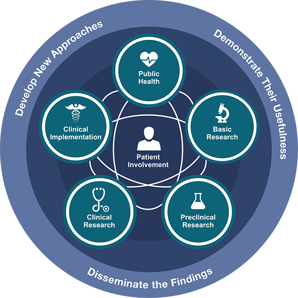 The translational science spectrum shows the stages of translational research. The stages do not happen in a straight line or in one direction. Each stage builds upon and informs the others. At all stages, our staff and grantees come up with new approaches, prove their usefulness, and share the findings. Patient involvement is a key feature of all stages in translation.