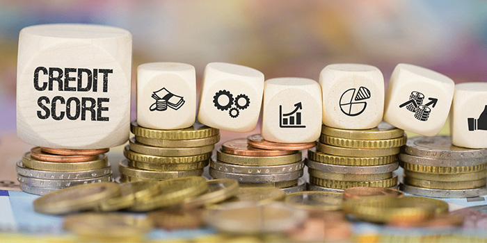 Credit score building blocks
