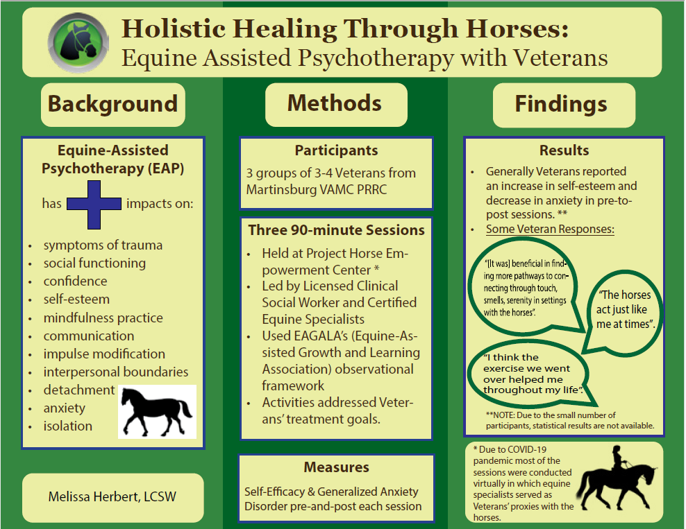 Thumbnail for the Visual Abstract Holistic Healing through Horses