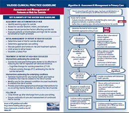 VA/DOD Clinical Practice Guideline (CPG): Assessment and Management of Patients at Risk for Suicide